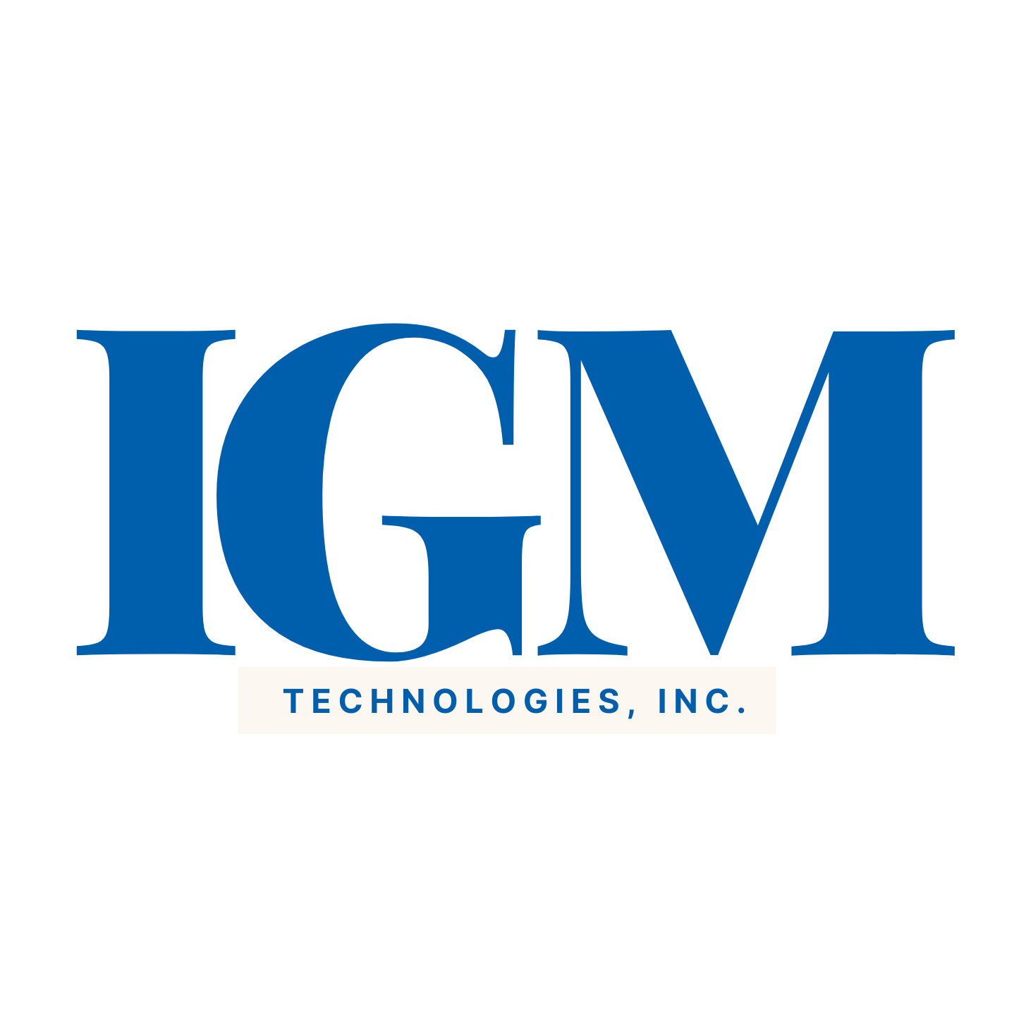 igmtechs.com